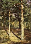 Ivan Shishkin Pine Wood Illuminated by the Sun oil painting